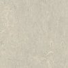Forbo Marmoleum Marbled Authentic 3136 Concrete Linoleum - DCTUK
