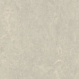 Forbo Marmoleum Marbled Authentic 3136 Concrete Linoleum - DCTUK
