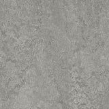 Forbo Marmoleum Marbled Authentic 3146 Serene Grey Linoleum - DCTUK