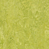 Forbo Marmoleum Marbled Authentic 3224 Chartreuse Linoleum - DCTUK