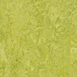 Forbo Marmoleum Marbled Authentic 3224 Chartreuse Linoleum - DCTUK