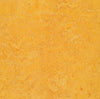 Forbo Marmoleum Marbled Authentic 3225 Dandelion Linoleum - DCTUK