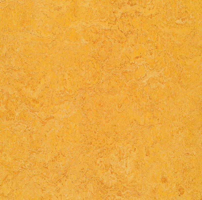 Forbo Marmoleum Marbled Authentic 3225 Dandelion Linoleum - DCTUK