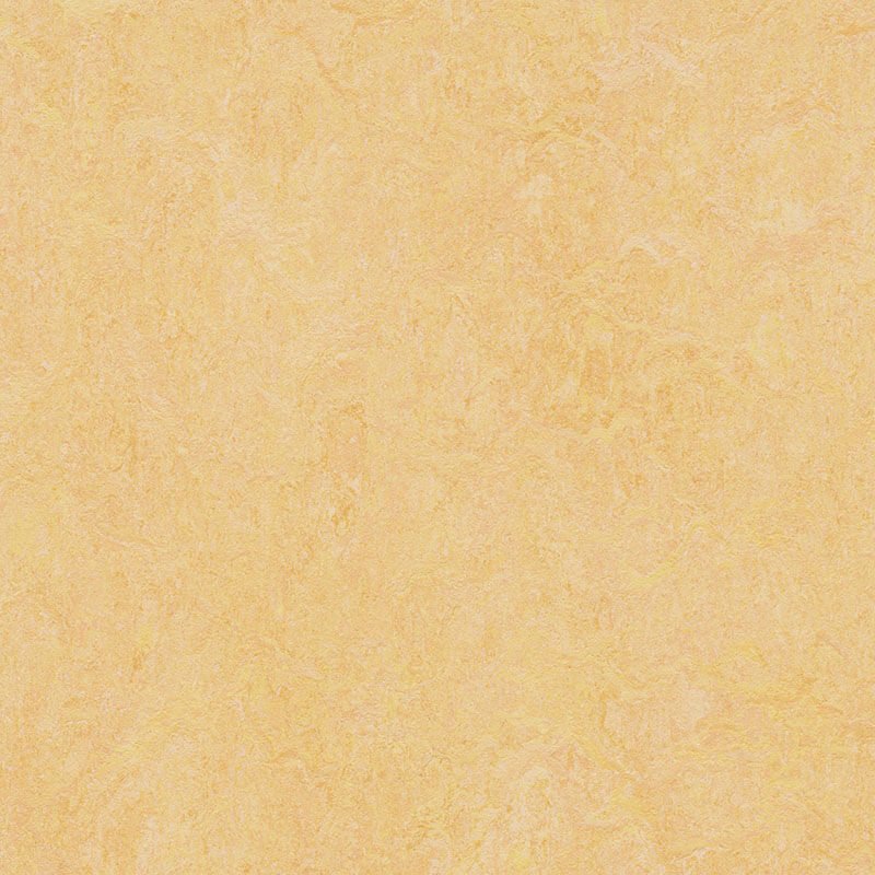 Forbo Marmoleum Marbled Authentic 3846 Natural Corn Linoleum - DCTUK