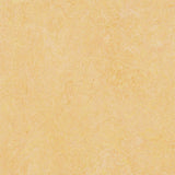 Forbo Marmoleum Marbled Authentic 3846 Natural Corn Linoleum - DCTUK