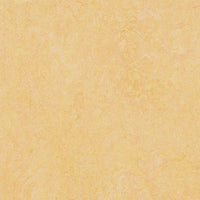 Forbo Marmoleum Marbled Authentic 3846 Natural Corn Linoleum