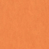Forbo Marmoleum Marbled Fresco African Desert 3825 Linoleum - DCTUK