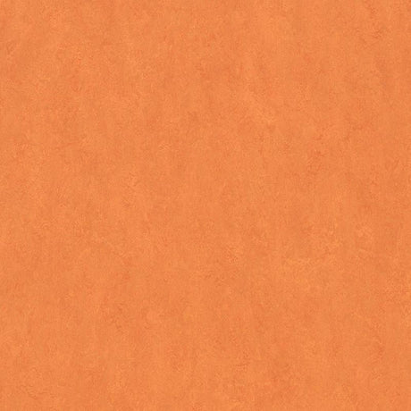 Forbo Marmoleum Marbled Fresco African Desert 3825 Linoleum - DCTUK