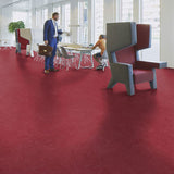Forbo Marmoleum Marbled Fresco African Desert 3825 Linoleum - DCTUK