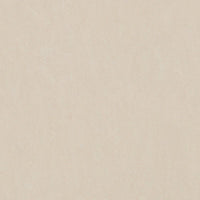 Forbo Marmoleum Marbled Fresco Arabian Pearl 3861 Linoleum