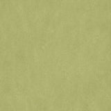 Forbo Marmoleum Marbled Fresco Avocado 3265 Linoleum - DCTUK