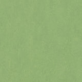 Forbo Marmoleum Marbled Fresco Leaf 3260 Linoleum - DCTUK