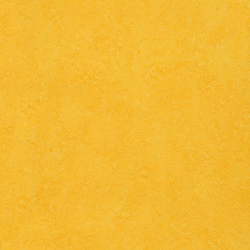 Forbo Marmoleum Marbled Fresco Lemon Zest 3251 Linoleum - DCTUK