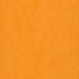 Forbo Marmoleum Marbled Fresco Marigold 3262 Linoleum - DCTUK
