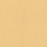 Forbo Marmoleum Marbled Fresco Natural Corn 3846 Linoleum - DCTUK