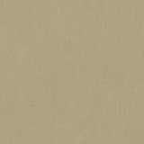 Forbo Marmoleum Marbled Fresco Oat 3890 Linoleum - DCTUK