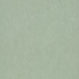 Forbo Marmoleum Marbled Fresco Sage 3891 Linoleum - DCTUK