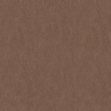 Forbo Marmoleum Marbled Fresco Walnut 3874 Linoleum - DCTUK