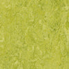 Forbo Marmoleum Marbled Real Chartreuse 3224 Linoleum - DCTUK