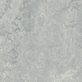 Forbo Marmoleum Marbled Real Dove Grey 2621 Linoleum - DCTUK