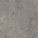 Forbo Marmoleum Marbled Real Eiger 2629 Linoleum - DCTUK