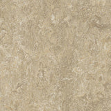 Forbo Marmoleum Marbled Real Forest Ground 3234 Linoleum - DCTUK