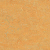 Forbo Marmoleum Marbled Real Golden Saffron 3847 Linoleum - DCTUK