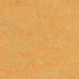 Forbo Marmoleum Marbled Real Golden Saffron 3847 Linoleum - DCTUK