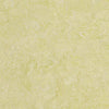 Forbo Marmoleum Marbled Real Green Wellness 3881 Linoleum - DCTUK