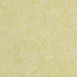 Forbo Marmoleum Marbled Real Green Wellness 3881 Linoleum - DCTUK