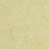 Forbo Marmoleum Marbled Real Green Wellness 3881 Linoleum - DCTUK