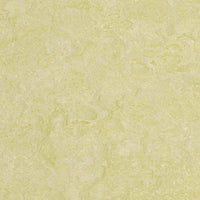 Forbo Marmoleum Marbled Real Green Wellness 3881 Linoleum