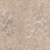 Forbo Marmoleum Marbled Real Horse Roan 3232 Linoleum - DCTUK