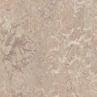 Forbo Marmoleum Marbled Real Horse Roan 3232 Linoleum