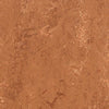 Forbo Marmoleum Marbled Real Rust 2767 Linoleum - DCTUK