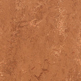 Forbo Marmoleum Marbled Real Rust 2767 Linoleum - DCTUK