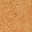 Forbo Marmoleum Marbled Real Sahara 3174 Linoleum - DCTUK