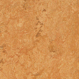 Forbo Marmoleum Marbled Real Sahara 3174 Linoleum - DCTUK