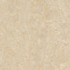 Forbo Marmoleum Marbled Real Sand 2499 Linoleum - DCTUK