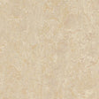 Forbo Marmoleum Marbled Real Sand 2499 Linoleum - DCTUK