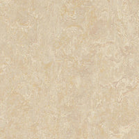 Forbo Marmoleum Marbled Real Sand 2499 Linoleum