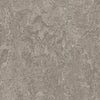 Forbo Marmoleum Marbled Real Serene Grey 3146 Linoleum - DCTUK