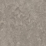Forbo Marmoleum Marbled Real Serene Grey 3146 Linoleum - DCTUK