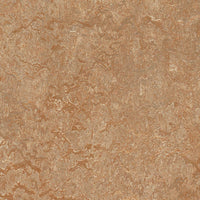 Forbo Marmoleum Marbled Real Shitake 3233 Linoleum