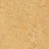 Forbo Marmoleum Marbled Real Van Gogh 3173 Linoleum - DCTUK
