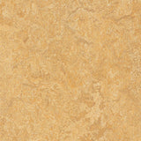 Forbo Marmoleum Marbled Real Van Gogh 3173 Linoleum - DCTUK