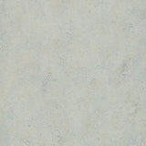Forbo Marmoleum Marbled Splash Seashell 3428 Linoleum - DCTUK