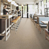 Forbo Marmoleum Marbled Terra Alpine Mist 5802 Linoleum - DCTUK