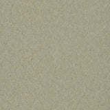 Forbo Marmoleum Marbled Terra River Bank 5801 Linoleum - DCTUK