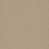Forbo Marmoleum Marbled Terra Weathered Sand 5803 Linoleum - DCTUK
